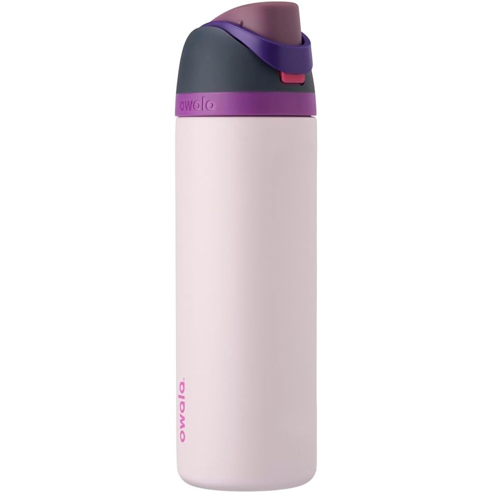Owala FreeSip Isolierte Edelstahl-Wasserflasche mit Strohhalm für Sport und Reise, BPA-frei, 950 ml, Foggy Tide