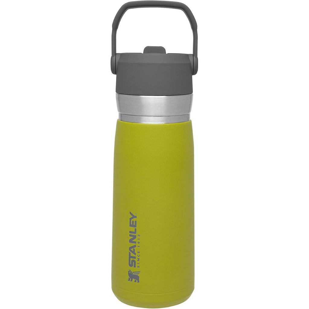 Stanley IceFlow Flip Straw Trinkflasche 17 oz | Integrierter Strohhalm für Reisen und Sport | Leicht und auslaufsicher | Isolierter Edelstahl | BPA-frei | Holzkohle