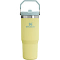 Stanley IceFlow Flip Straw Tumbler mit Griff 887 ml | Schraubverschluss und hochklappbarer Trinkhalm | Auslaufsichere Wasserflasche | Isolierter Edelstahl | BPA-frei | Pomelo