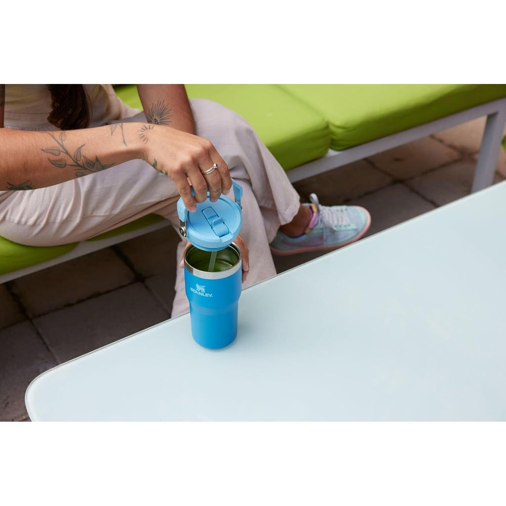STANLEY IceFlow 2.0 Flip Straw Tumbler mit Griff 20 oz | Drehverschluss und hochklappbarer Strohhalm | Auslaufsichere Wasserflasche | Isolierter Edelstahl | BPA-frei | Lila