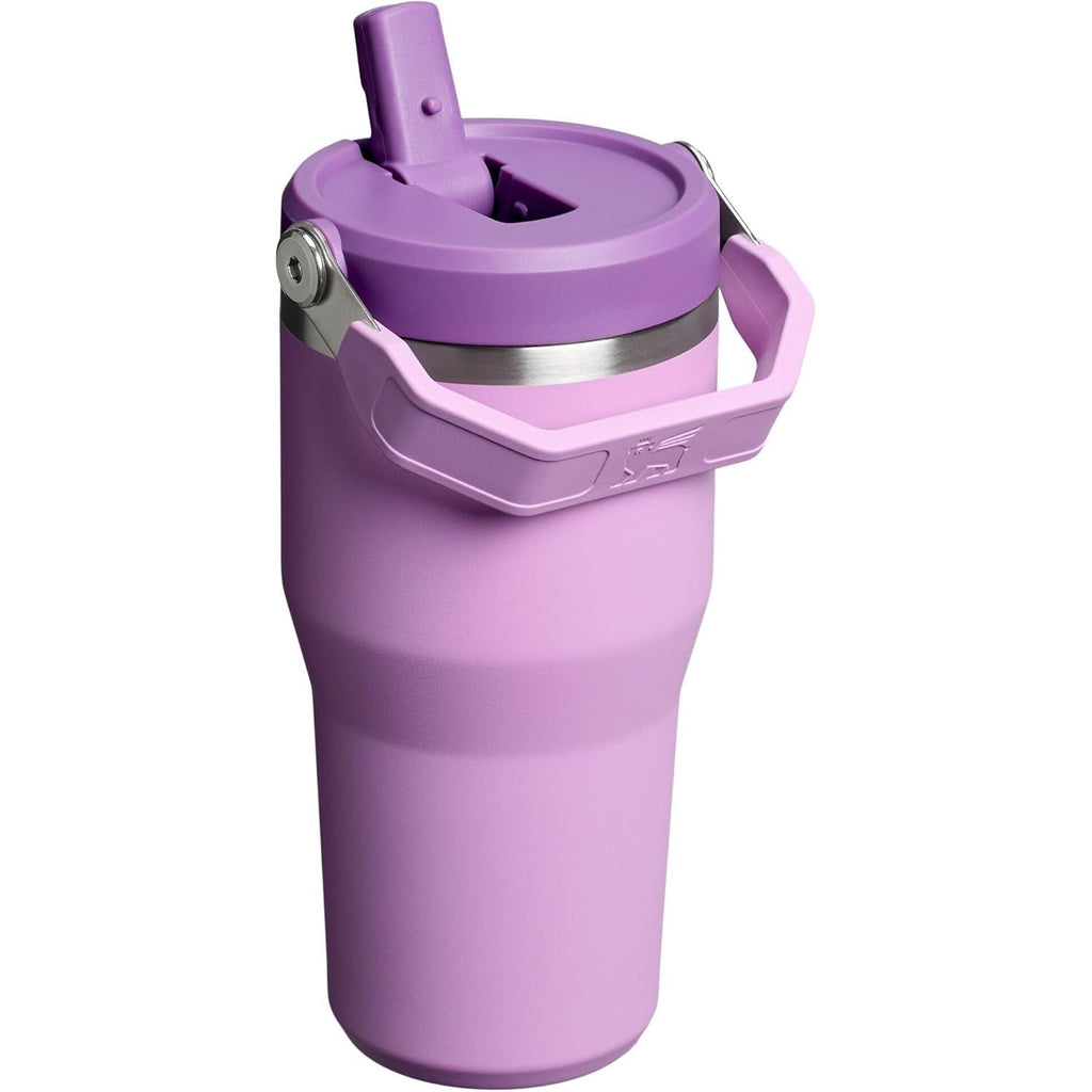 STANLEY IceFlow 2.0 Flip Straw Tumbler mit Griff 20 oz | Drehverschluss und hochklappbarer Strohhalm | Auslaufsichere Wasserflasche | Isolierter Edelstahl | BPA-frei | Lila
