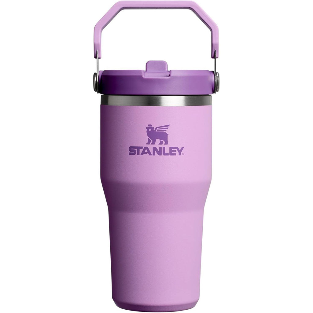 STANLEY IceFlow 2.0 Flip Straw Tumbler mit Griff 20 oz | Drehverschluss und hochklappbarer Strohhalm | Auslaufsichere Wasserflasche | Isolierter Edelstahl | BPA-frei | Lila