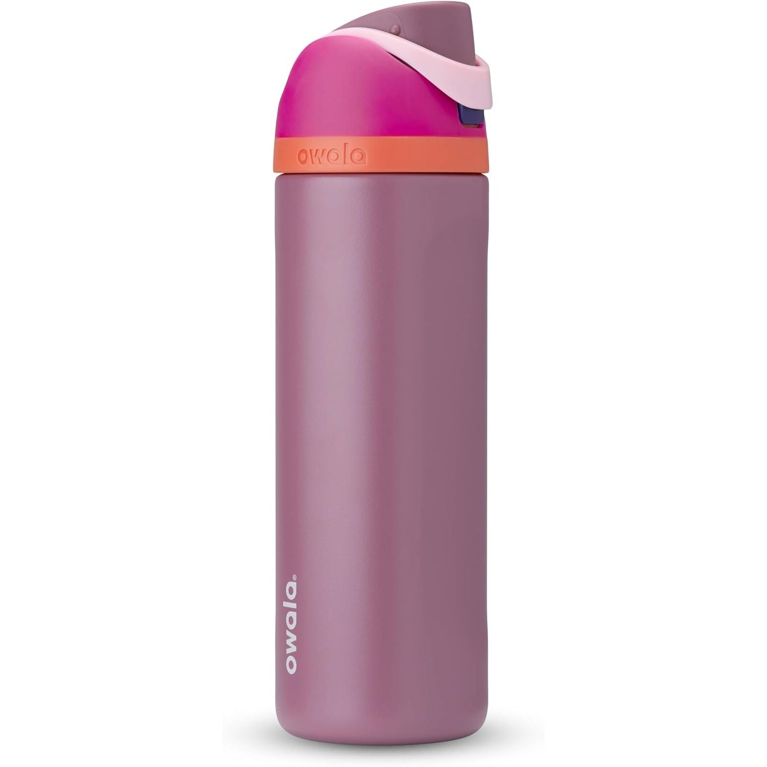 Owala FreeSip Isolierte Edelstahl-Wasserflasche mit Strohhalm für Sport und Reise, BPA-frei, 950 ml, Foggy Tide