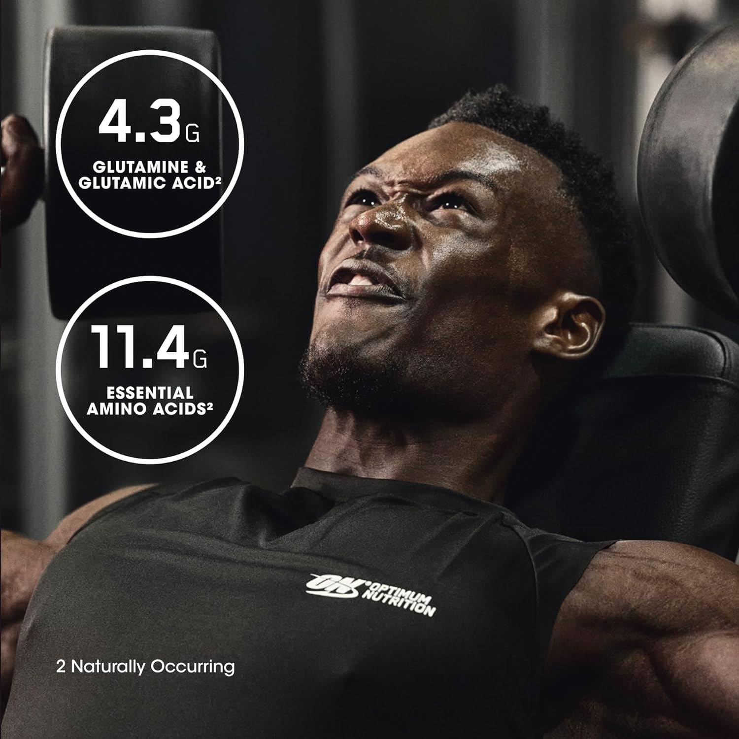 Optimum Nutrition Gold Standard 100% Isolate, Protein Powder, Chocolate Bliss, 3 Pounds, 44 Servings. Whey Protein Isolate (Packaging May Vary) (Pack of 4)